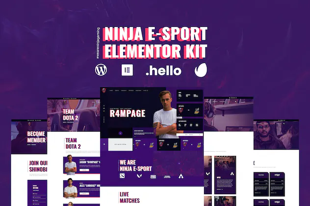 Ninja - Esports - Gaming