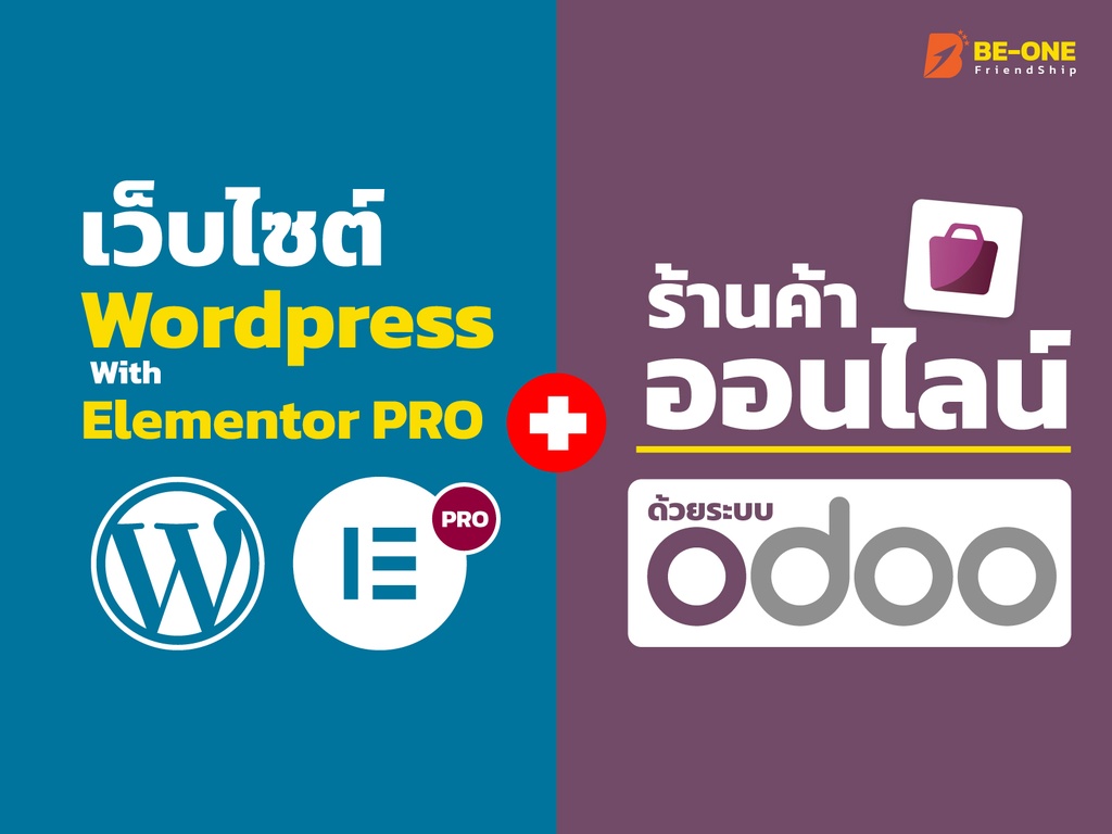 Website (Wordpress) + E-commerce (Odoo)