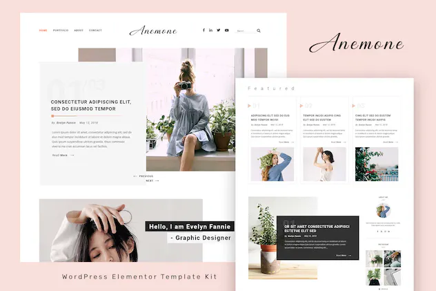 Anemone - Blog - Magazine