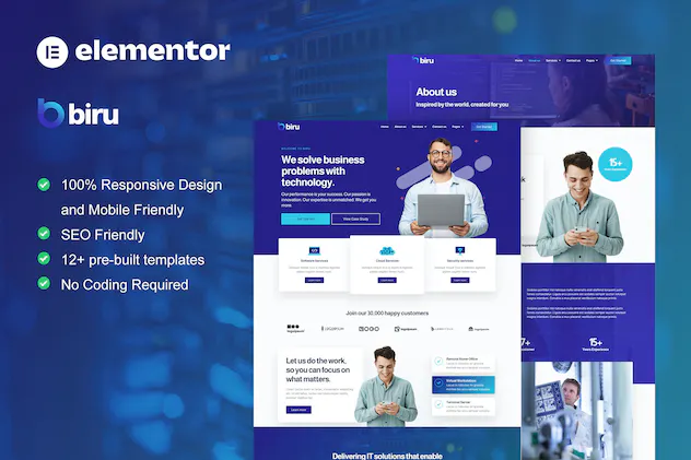 Biru - IT Services 