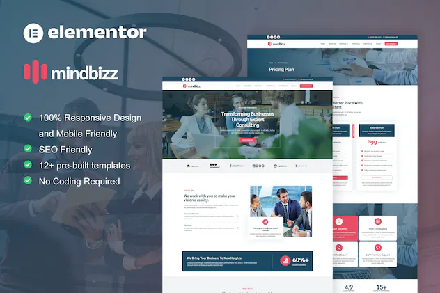 MindBizz - Business Consulting