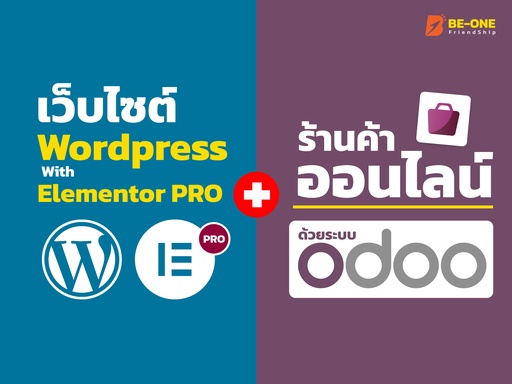 Website (Wordpress) + E-commerce (Odoo)