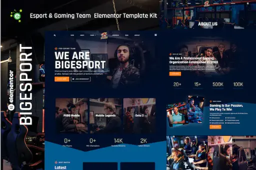 Bigesport - Esport - Gaming Team