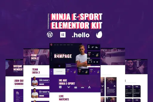 Ninja - Esports - Gaming