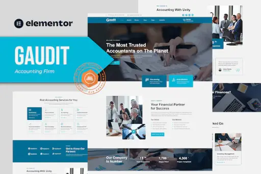 Gaudit - Accounting Firm