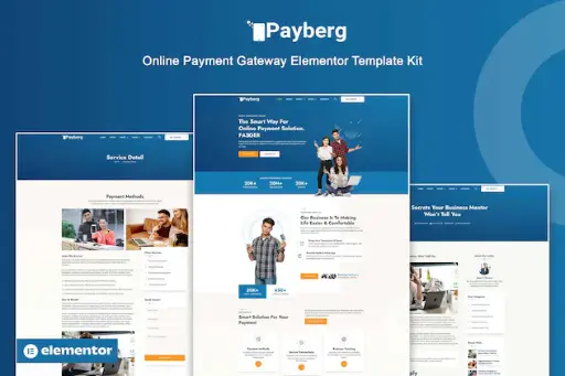 Payberg - Online Payment Gateway