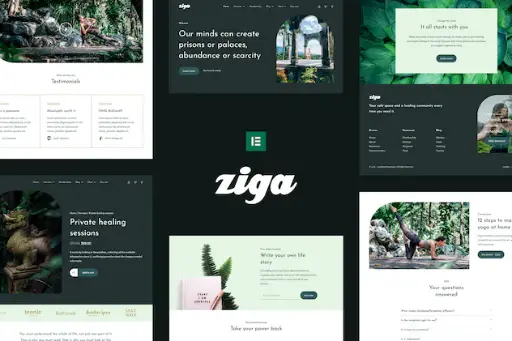 Ziga - Healer - Life Coach