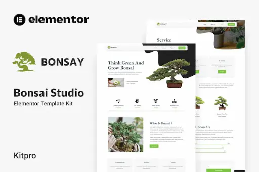 Bonsay - Bonsai Studio