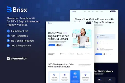 Brisx  SEO - Digital Marketing Agency