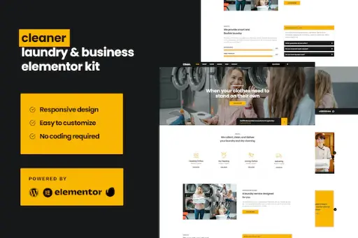 Cleaner - Laundry Business