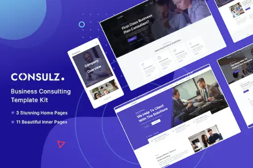Consulz - Consulting Company